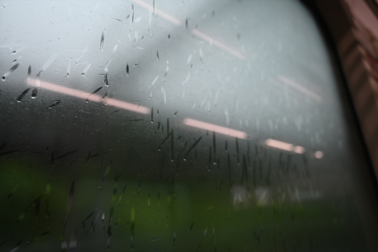 霧国 霧国